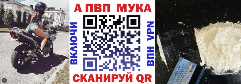 Где купить наркотики Гагарин СК  Псилоцибиновые грибы  Бутират  Каннабис  Меф  MEGA tor  Гашиш 