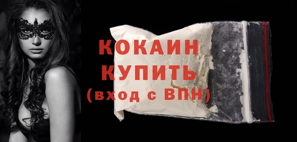 индика Горно-Алтайск