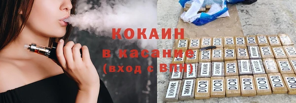 индика Дмитров