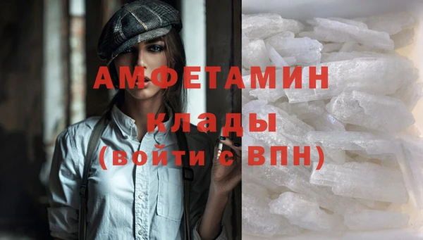 индика Горно-Алтайск