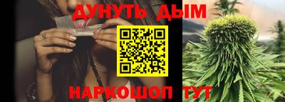 сатива Гатчина