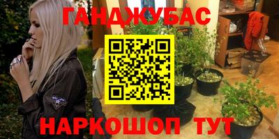 spice Гай