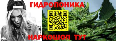 сатива Гатчина