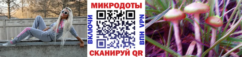 сколько стоит  Гагарин  Галлюциногенные грибы Magic Shrooms 
