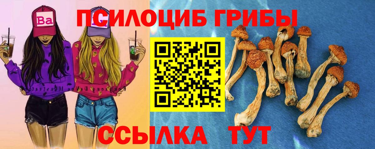 Псилоцибиновые грибы мицелий Гагарин