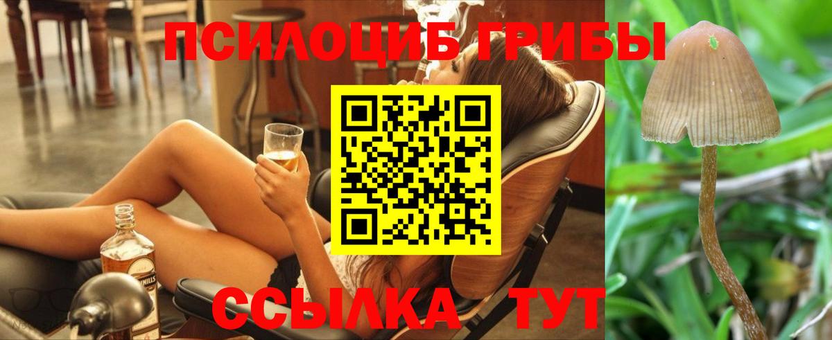 Гагарин  Галлюциногенные грибы Psilocybe  Вход с VPN  Псилоцибиновые грибы MAGIC MUSHROOMS 